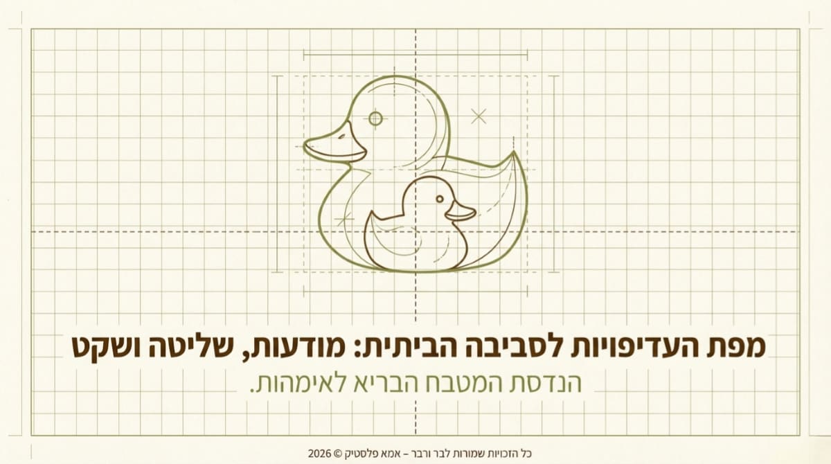 ברווז וברווזון בשרטוט קווי, השער של מפת העדיפויות